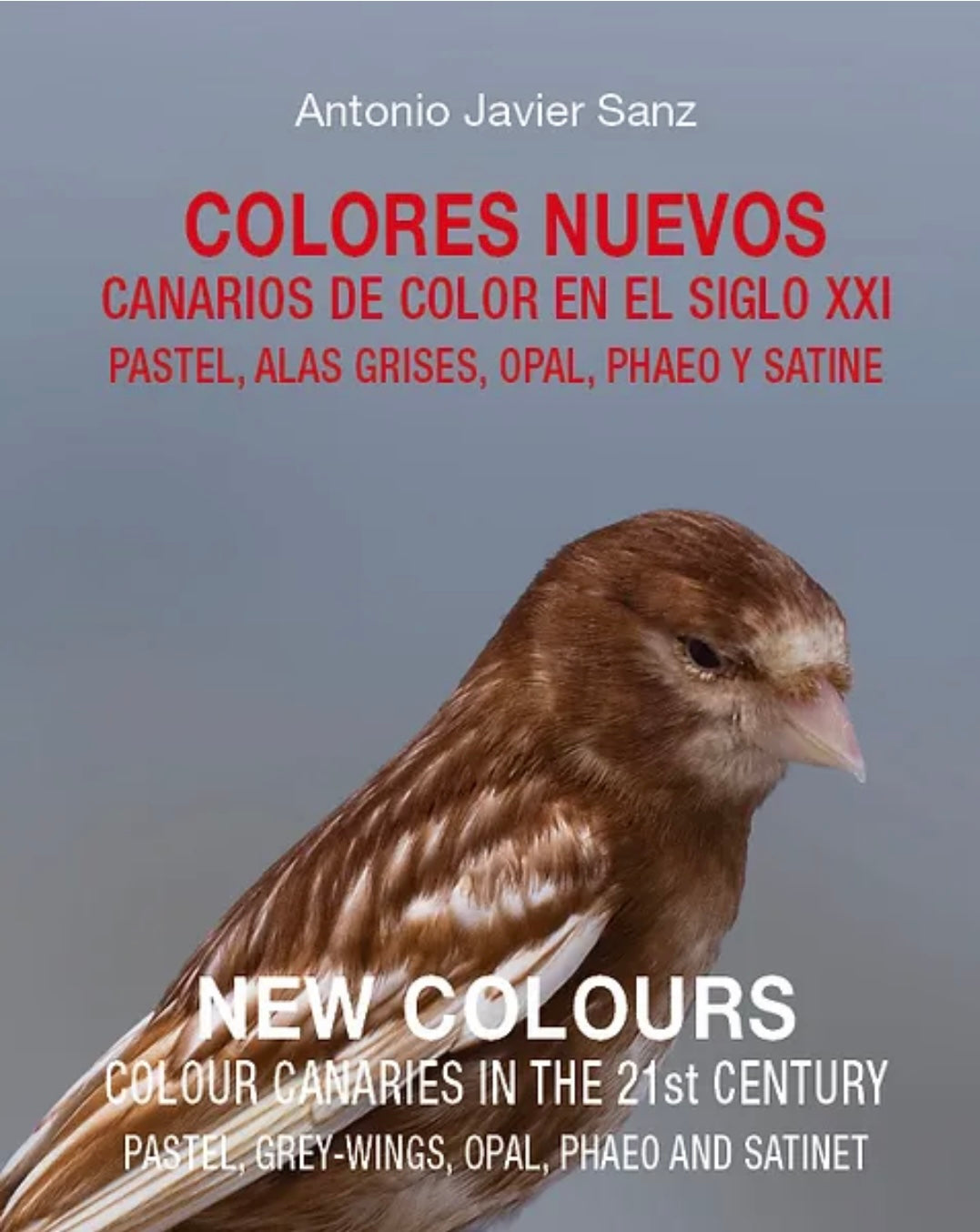 Colores  Nuevos Book