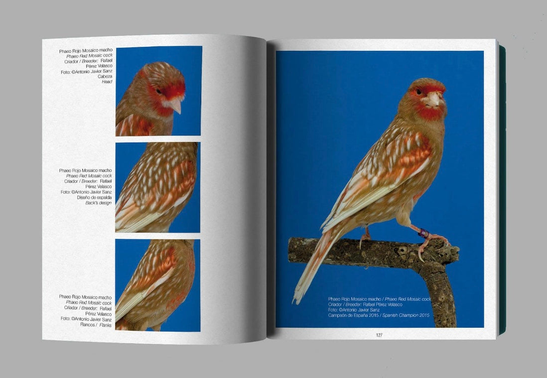 Libro Mi Mirada / My Own View Antonio Javier Sanz