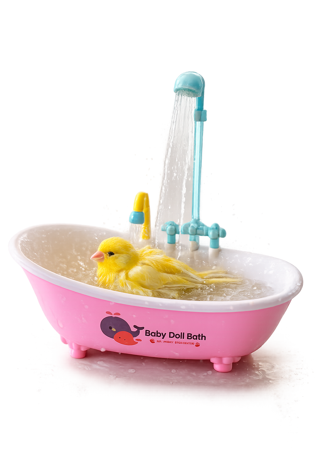 Bird Bath Tub