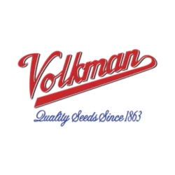 Volkman