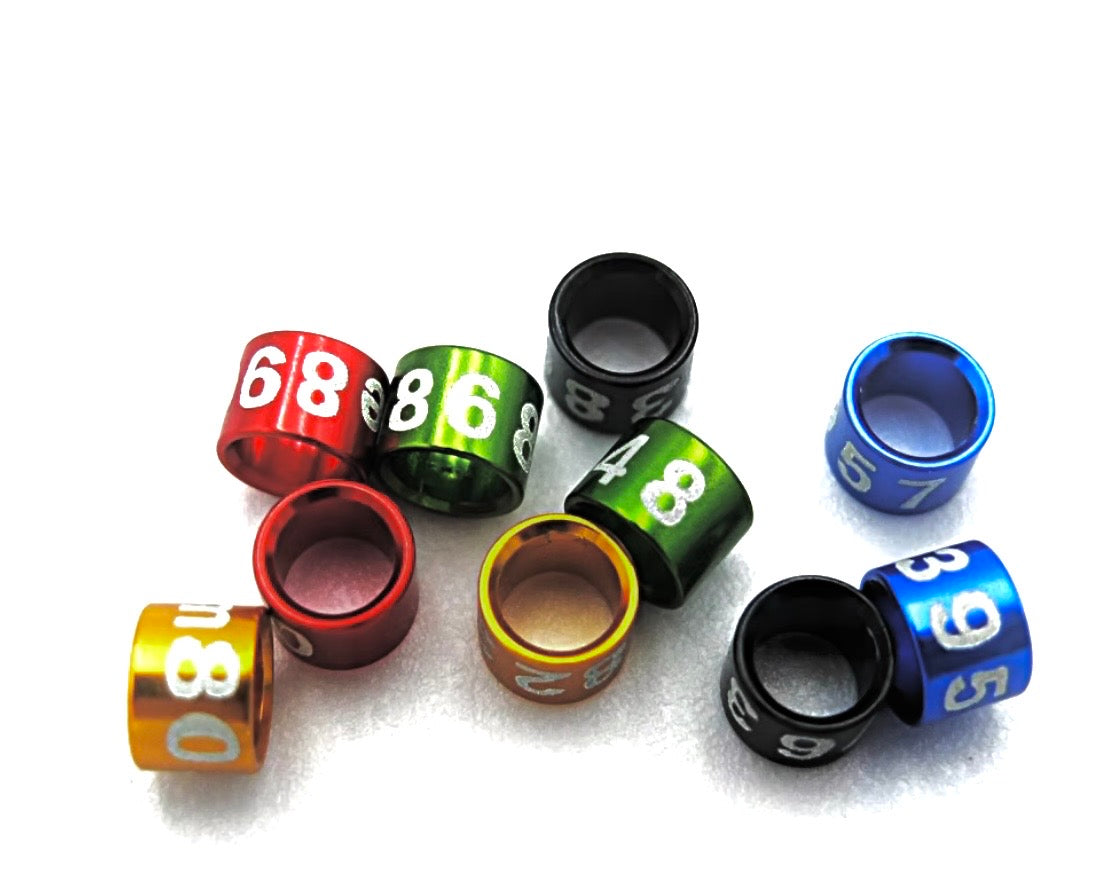 Canary leg Bands (2026 GREEN)