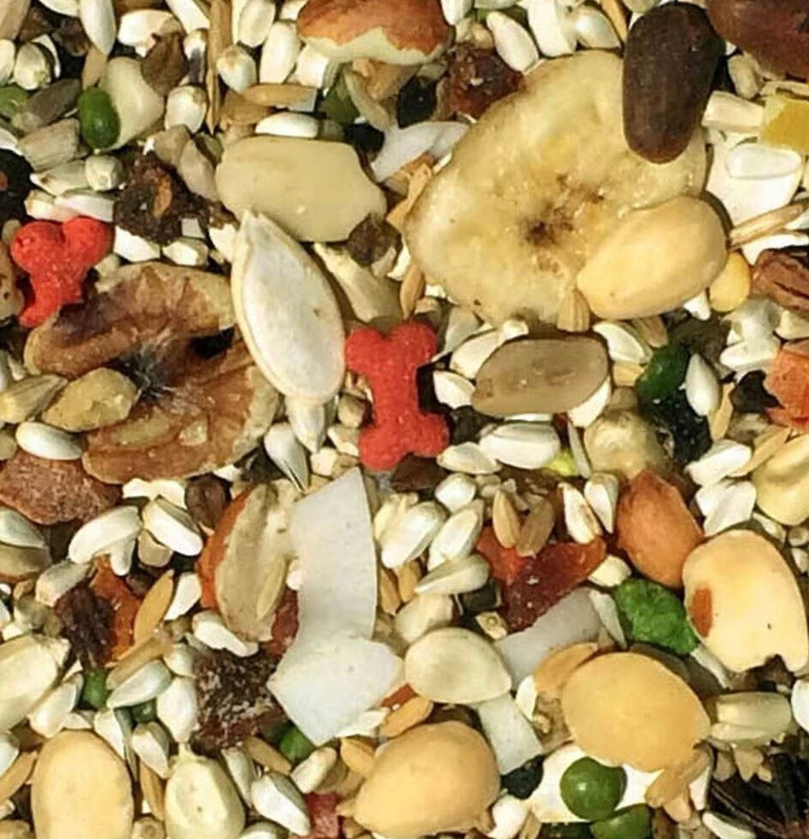 Volkman Avian Science African Gray Parrot 4lbs