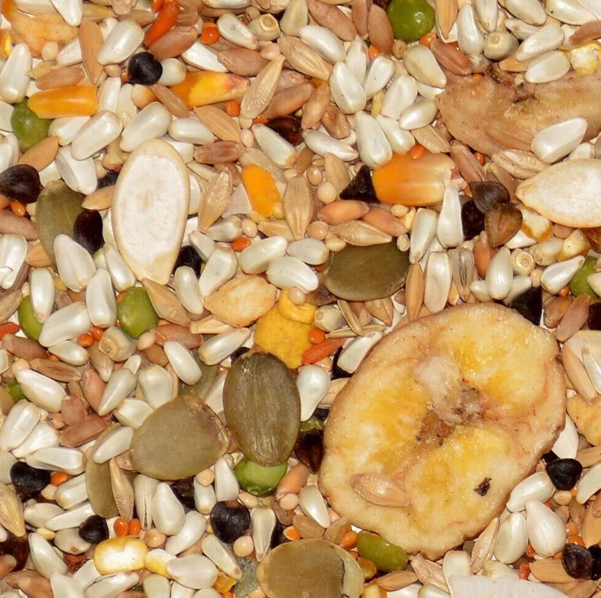 Volkman Avian Science Hookbill 4 lbs