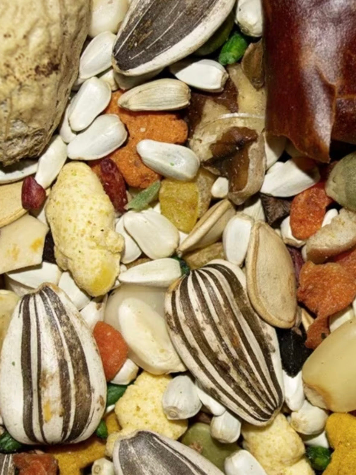 Volkman Featherglow Large Parrot 4lbs