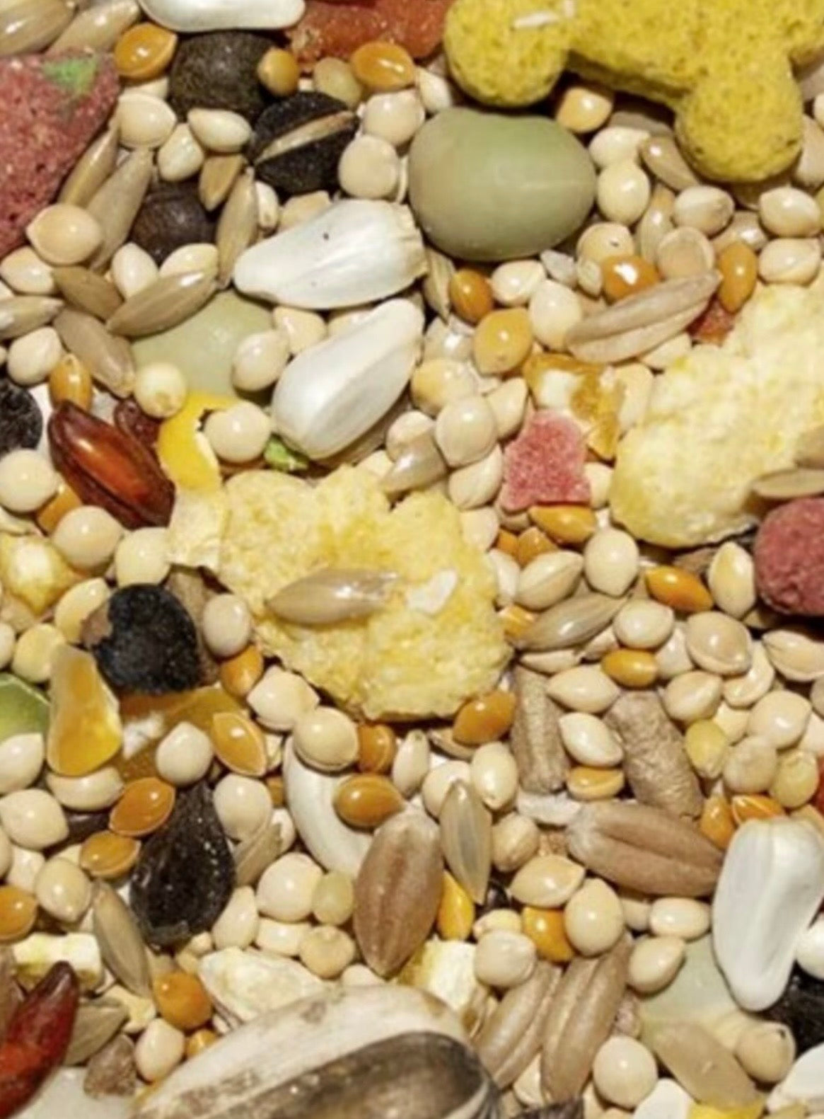 Volkman Featherglow Small Hookbill 4lbs