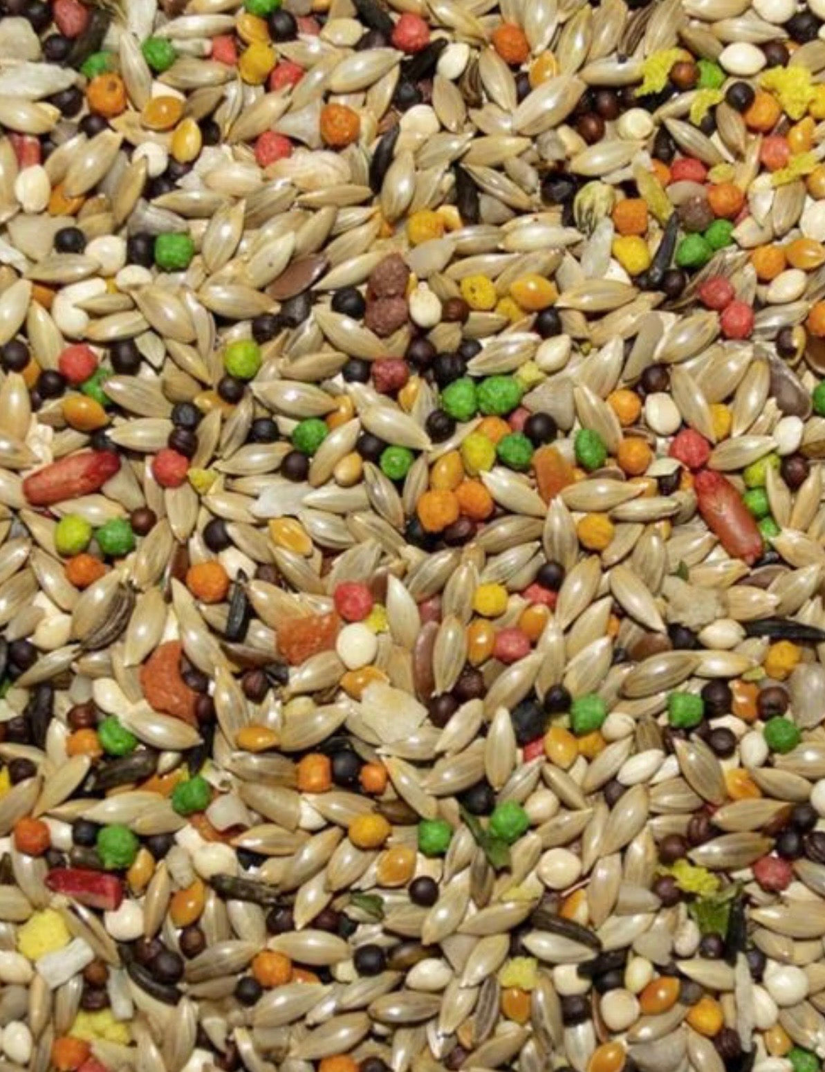 Featherglow Canary Finch 2lbs