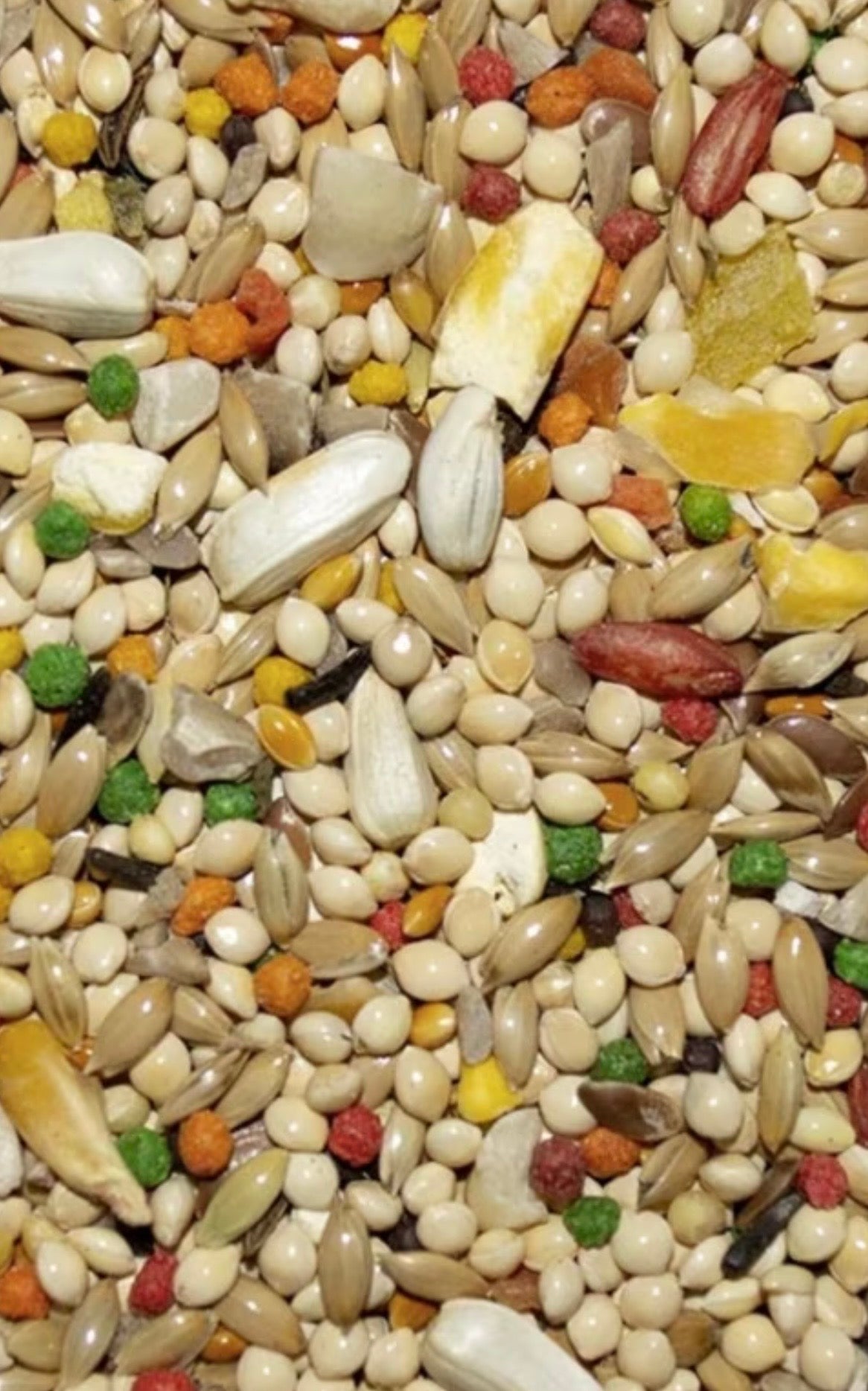 Featherglow Parakeet 2 lbs