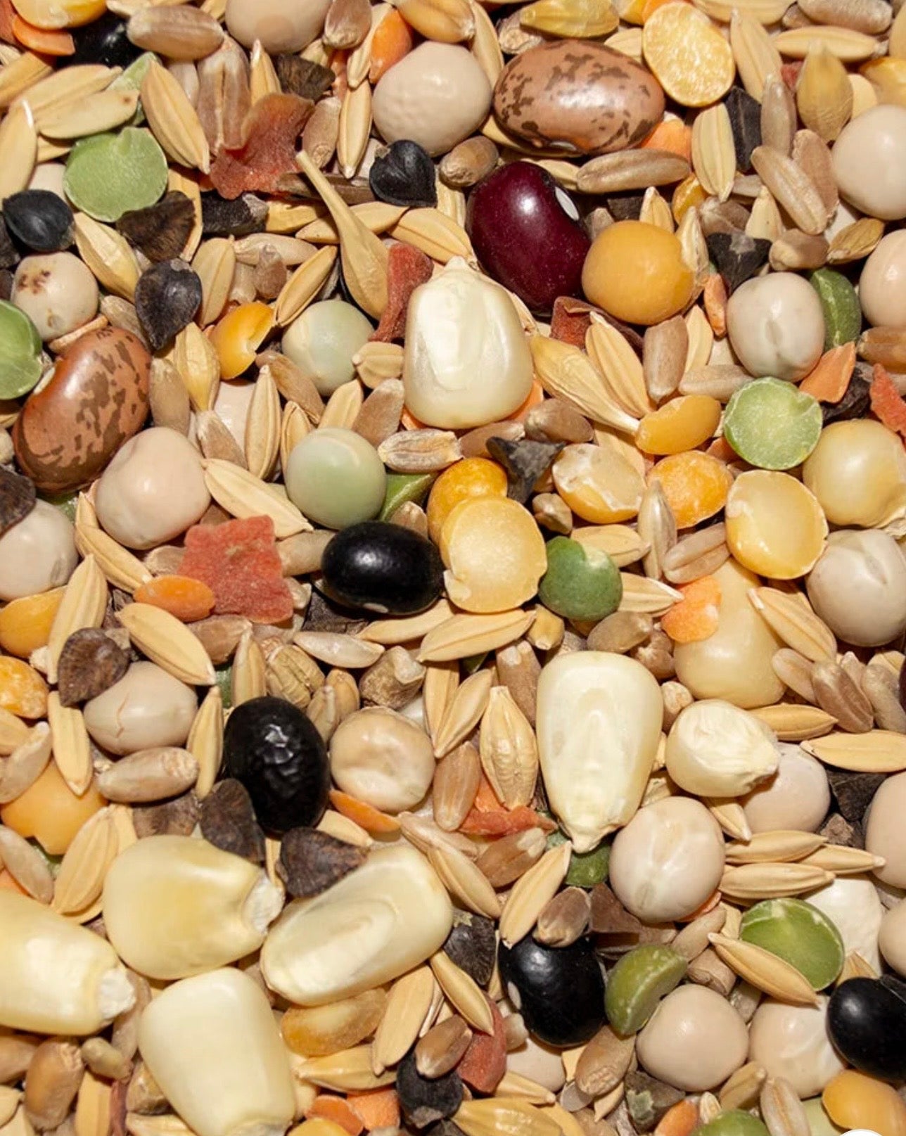 Featherglow Fancy Soak & Simmer