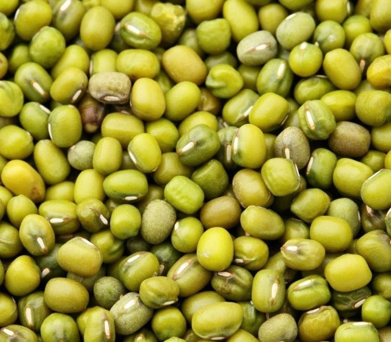 Mung Beans Seed