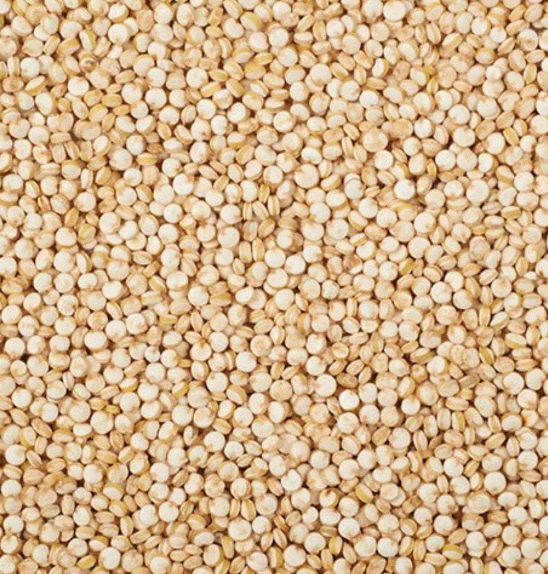 Quinoa Seed