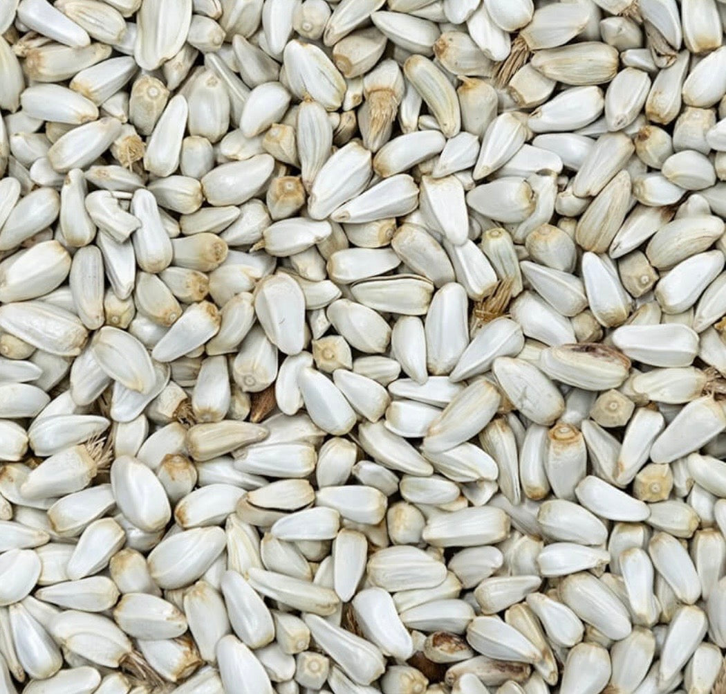 Safflower Seed