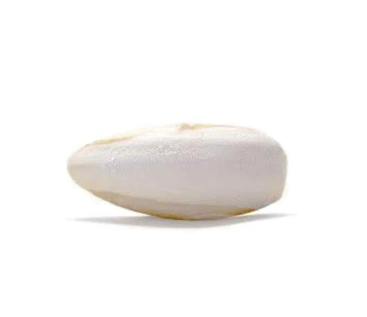 cuttlebone 5in to 7in