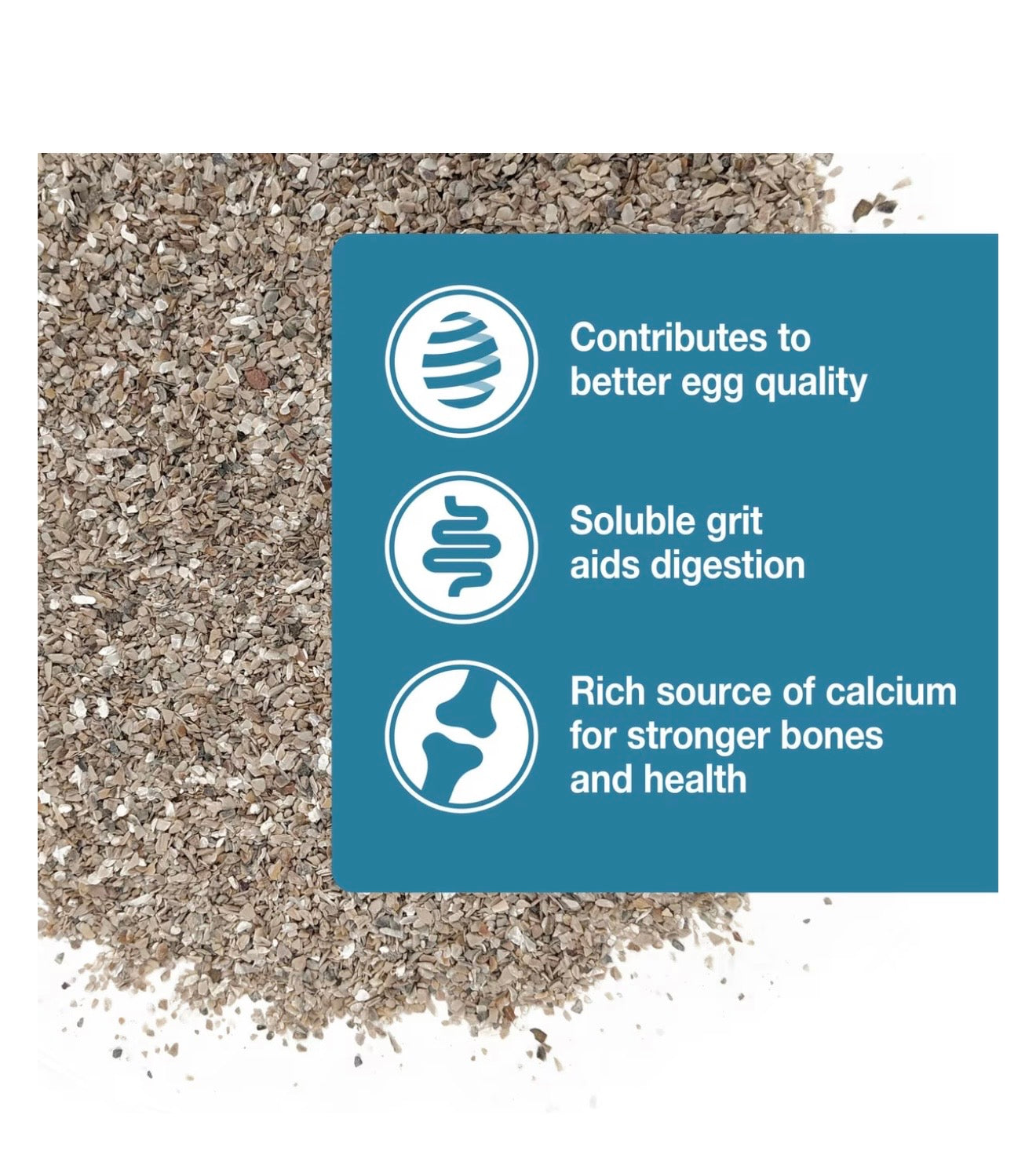 0yster Shells Hari 440gr