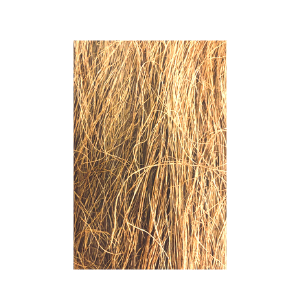 Coconut Fiber Nesting Materials