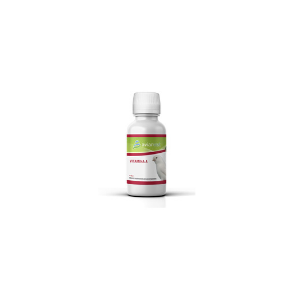 Avianvet Vitamin A 100ml