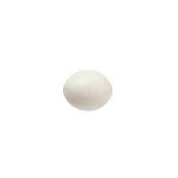 2GR Large Plastic Eggs Art.011